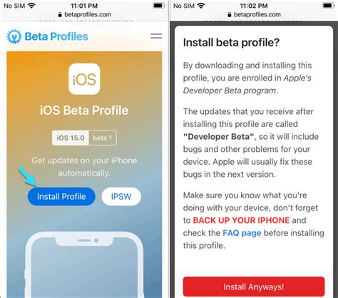 beta profile ios 15|How to Download and Install iOS 15/ iPadOS 15 Beta without .